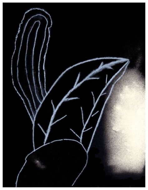Chalk-02